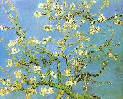 Vincent Van Gogh Blossomong Almond Tree Sweden oil painting reproduction